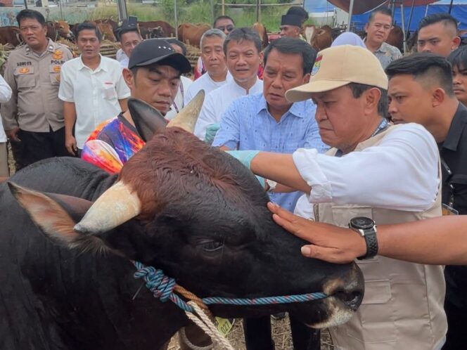 
 Bupati Tangerang Moch. Maesyal Rasyid saat meninjau salah satu lapak penjualan hewan kurban menjelang Hari Raya Idul Adha 1447 H. Foto: ist