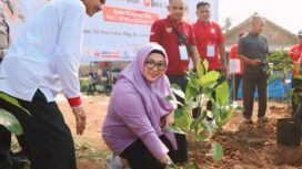 Wakil Bupati Tangerang, Intan Nurul Hikmah Menanam Pohon pada kegiatan Semarak Hari Ulang Tahun (HUT) ke-81 Kemerdekaan Republik Indonesia di Perumahan Sodong Village, Desa Sodong, Kecamatan Tigaraksa. Foto: Ist