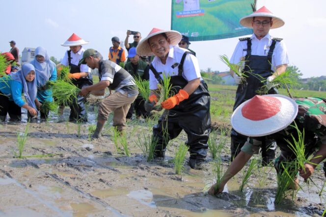 
 Pj. Wali Kota Tangerang, Dr.Nurdin,S.Sos.,M.Si saat Menanam Padi Memanfaatkan Lahan Produktif. Foto: Ist 