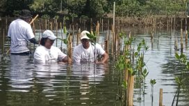 Koalisi Aktivis Lingkungan Hidup Tangerang (Kalung) saat Tanam Bibit Mangrove di Tanjung Pasir Kecamatan Teluk Naga Kabupaten Tangerang sebagai Upaya Mitigasi Megatrhrust dikawasan Pesisir Banten. Foto: TangerangPos 