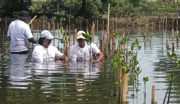 Koalisi Aktivis Lingkungan Hidup Tangerang (Kalung) saat Tanam Bibit Mangrove di Tanjung Pasir Kecamatan Teluk Naga Kabupaten Tangerang sebagai Upaya Mitigasi Megatrhrust dikawasan Pesisir Banten. Foto: TangerangPos 