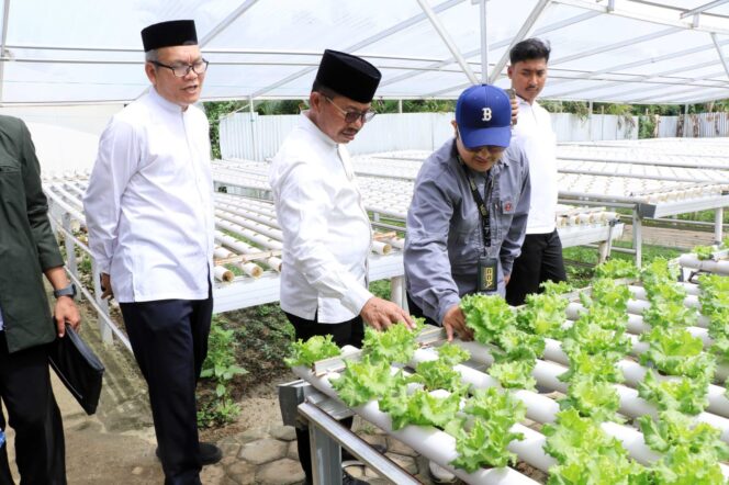 
 Wali Kota Tangerang Sachrudin saat meninjau kawasan food estate sederhana berbasis wisata edukasi di Cipondoh. Foto: ist