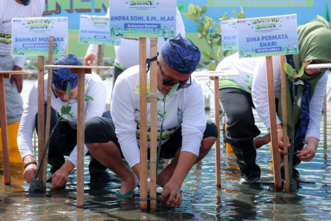 
 Gubernur Banten Andra Soni saat Menanam Mangrove pada peringatan Hari Menanam Pohon Indonesia (HMPI) 2025 di Desa Lontar, Kecamatan Tirtayasa, Kabupaten Serang. Foto: ist 