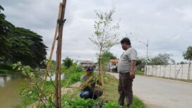 Banksasuci Foundation terus Gencarkan Gerakan 'Banten Teduh Tangerang Sejuk' dengan menanam ribuan pohon disejumlah titik krusial dan tandus. Foto: TangerangPos 