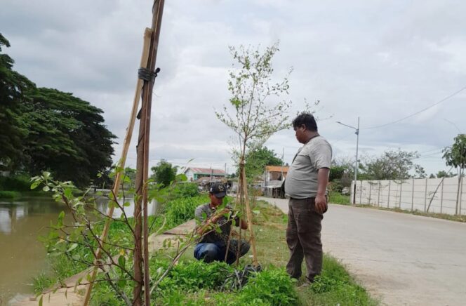 
 Banksasuci Foundation terus Gencarkan Gerakan 'Banten Teduh Tangerang Sejuk' dengan menanam ribuan pohon disejumlah titik krusial dan tandus. Foto: TangerangPos 