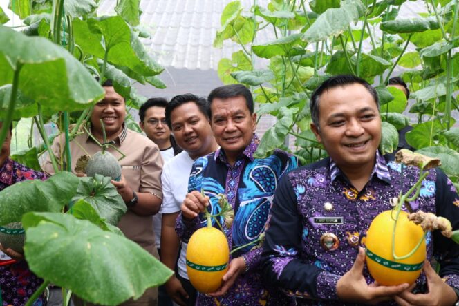 
 Bupati Tangerang Moch. Maesyal Rasyid Didampingi Camat Curug Arif Rahman Hakim saat melakukan panen melon hidroponik terpadu dalam rangka launching Sentra Melon Hidroponik Terpadu “Melenial Hydrofarm” di Desa Curug Wetan, Kecamatan Curug. Foto: ist