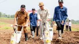 Gubernur Banten Andra Soni pada acara Gerakan Tanam Jagung Hibrida Poktan Mekarjaya, Desa Mekarsari, Kecamatan Maja,. Foto: ist