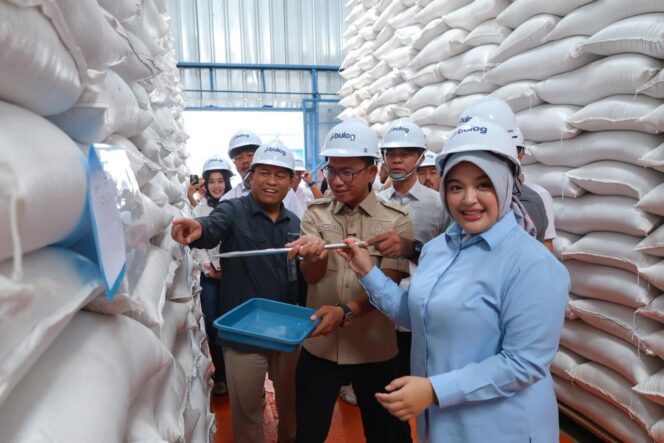 
 Anggota DPR RI Fraksi Partai Gerindra Daerah Pemilihan Banten II, Annisa Mahesa, turun langsung meninjau kondisi stok beras di gudang Bulog Desa Singamerta, Kecamatan Ciruas. Foto: Imam DJM
