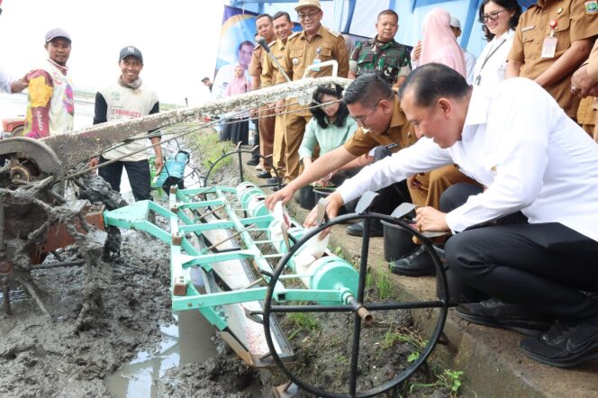 
 Gubernur Banten Andra Soni saat menghadiri kegiatan Tanam Perdana Pertanian Modern Advanced Agriculture System (PM-AAS) yang diinisiasi oleh Kementerian Pertanian (Kementan) di Kelurahan Margaluyu, Kecamatan Kasemen, Kota Serang. Foto: ist