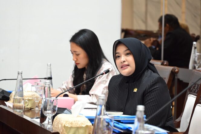 
 Anggota Komisi XI DPR RI Fraksi Partai Gerindra, Annisa Mahesa, saat RDP dengan Dirjen Kemenkeu RI. Foto: Ist 