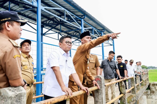 
 Gubernur Banten Andra Soni saat meninjau pembangunan infrastruktur irigasi yang digencarkan pemerintah melalui Instruksi Presiden (Inpres) Nomor 2 Tahun 2025 tentang Percepatan Pembangunan, Peningkatan, Rehabilitasi serta Operasi dan Pemeliharaan Jaringan Irigasi. Foto: Ist