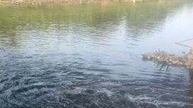 Saluran muara Kali Sabi di Kampung Bayur Kelurahan Periuk Jaya, Kecamatan Periuk Kota Tangerang. Foto: TangerangPos 