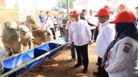 Gubernur Banten Andra Soni dan Gubernur DKI Jakarta Pramono Anung saat meninjau lokasi Pusat Olah Organik dengan Budidaya Magot BSF dan Ternak di Desa Ciangir, Kecamatan Legok, Kabupaten Tangerang. Foto: Ist