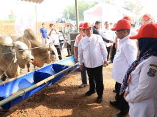 Gubernur Banten Andra Soni dan Gubernur DKI Jakarta Pramono Anung saat meninjau lokasi Pusat Olah Organik dengan Budidaya Magot BSF dan Ternak di Desa Ciangir, Kecamatan Legok, Kabupaten Tangerang. Foto: Ist