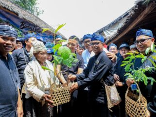Gubernur Banten Andra Soni saat menyerahkan bibit untuk Gerakan Menanam 70 Ribu Bibit Tanaman Pohon dalam rangka Hari Ulang Tahun ke- 8 Perkumpulan Urang Banten (PUB) di Rumah Kajaroan Kanekes, Ciboleger, Kabupaten Lebak. Foto: Ist