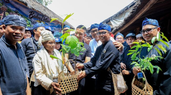 Gubernur Banten Andra Soni saat menyerahkan bibit untuk Gerakan Menanam 70 Ribu Bibit Tanaman Pohon dalam rangka Hari Ulang Tahun ke- 8 Perkumpulan Urang Banten (PUB) di Rumah Kajaroan Kanekes, Ciboleger, Kabupaten Lebak. Foto: Ist