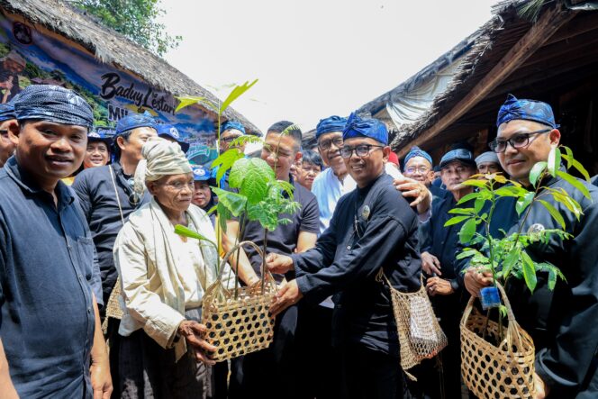 
 Gubernur Banten Andra Soni saat menyerahkan bibit untuk Gerakan Menanam 70 Ribu Bibit Tanaman Pohon dalam rangka Hari Ulang Tahun ke- 8 Perkumpulan Urang Banten (PUB) di Rumah Kajaroan Kanekes, Ciboleger, Kabupaten Lebak. Foto: Ist