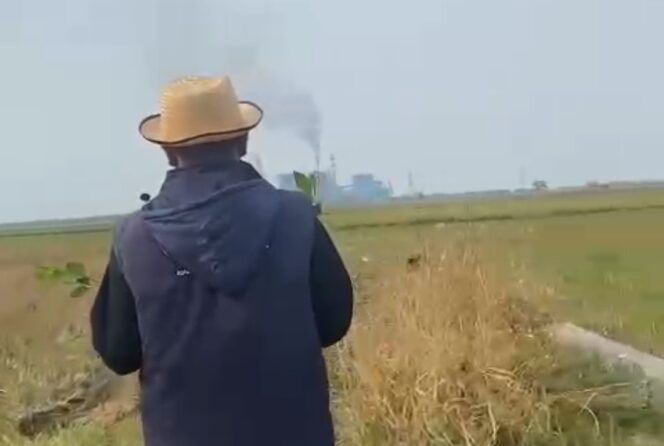 
 Aktivis Lingkungan Saat Melaksanakan Penanaman Pohon Mangrove di Kp. Panjang Desa Lontar Kecamatan Kemiri Kabupaten Tangerang. Foto: TangerangPos
