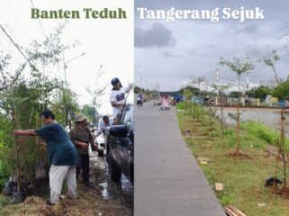 Setiap Hari Ribuan Pohon Ditanam Para Aktivis Lingkungan Hidup Tangerang Banksasuci dalam Gerakkan Banten Teduh Tangerang Sejuk'. Foto: TangerangPos 