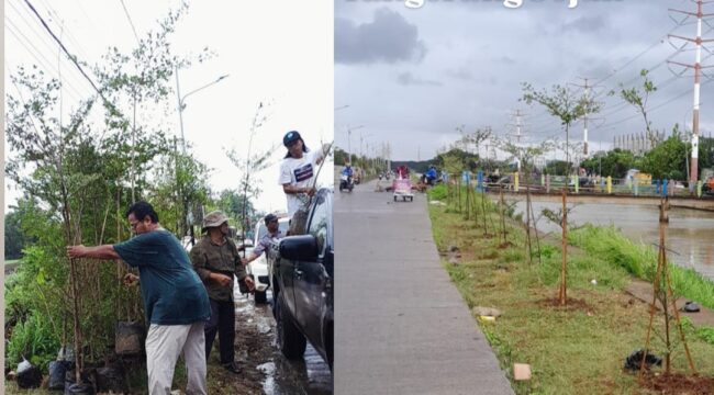 Setiap Hari Ribuan Pohon Ditanam Para Aktivis Lingkungan Hidup Tangerang Banksasuci dalam Gerakkan Banten Teduh Tangerang Sejuk'. Foto: TangerangPos 