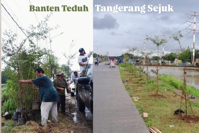 
 Setiap Hari Ribuan Pohon Ditanam Para Aktivis Lingkungan Hidup Tangerang Banksasuci dalam Gerakkan Banten Teduh Tangerang Sejuk'. Foto: TangerangPos 