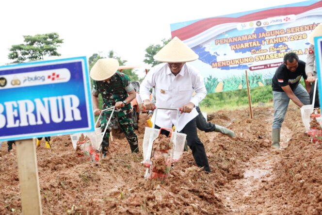
 Gubernur Banten Andra Soni saat mendampingi Kapolda Banten, Irjen Pol. Hengki, dalam kegiatan tanam jagung kuartal I tahun 2026 di Desa Mekar Baru, Kecamatan Kopo, Kabupaten Serang. Foto: ist