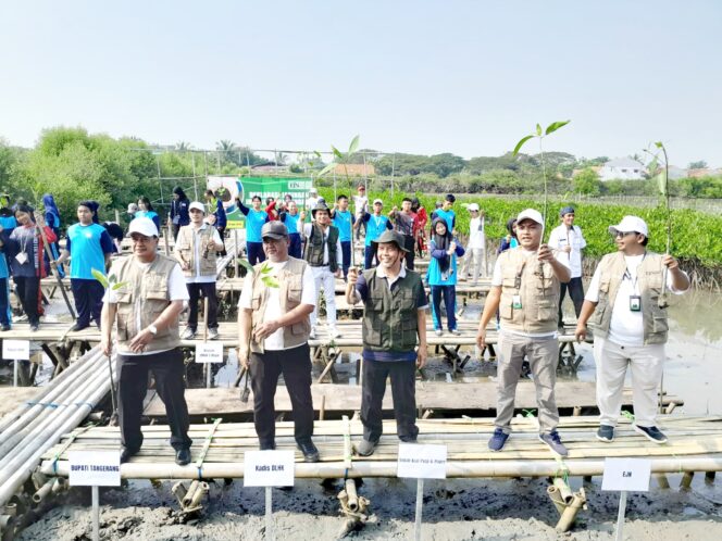 
 Bupati Tangerang dan Jaringan Jurnalis Lingkungan Tanam 10.000 Pohon Mangrove