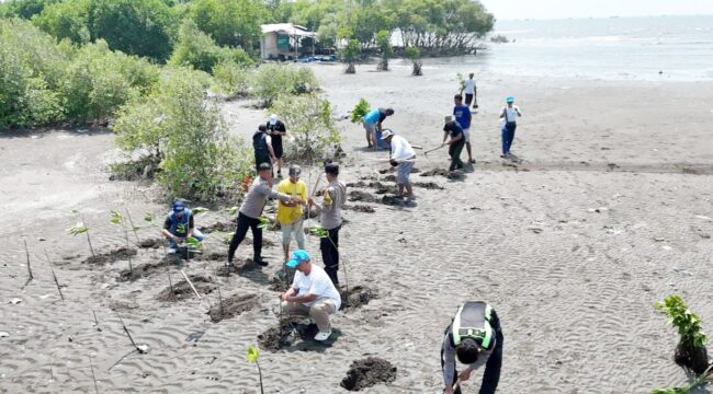 Koalisi Aktivis Lingkungan Hidup Tangerang (Kalung) saat menggelar aksi Penanaman Mangrove di Desa Muara, Kecamatan Teluknaga Kabupaten Tangerang. Foto: TangerangPos 