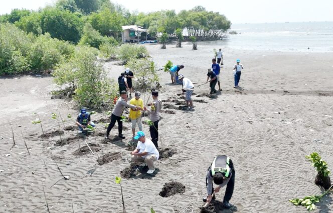 
 Koalisi Aktivis Lingkungan Hidup Tangerang (Kalung) saat menggelar aksi Penanaman Mangrove di Desa Muara, Kecamatan Teluknaga Kabupaten Tangerang. Foto: TangerangPos 