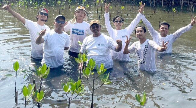 Pegiat dan Aktivis Lingkungan yang tergabung dalam Koalisi Aktivis Lingkungan Hidup Tangerang (Kalung) Terus Gencarkan Penanaman Mangrove sebagai upaya membentuk Green Belt sebagai benteng alami menjaga pesisir pantai Utara Tangerang. Foto: TangerangPos 