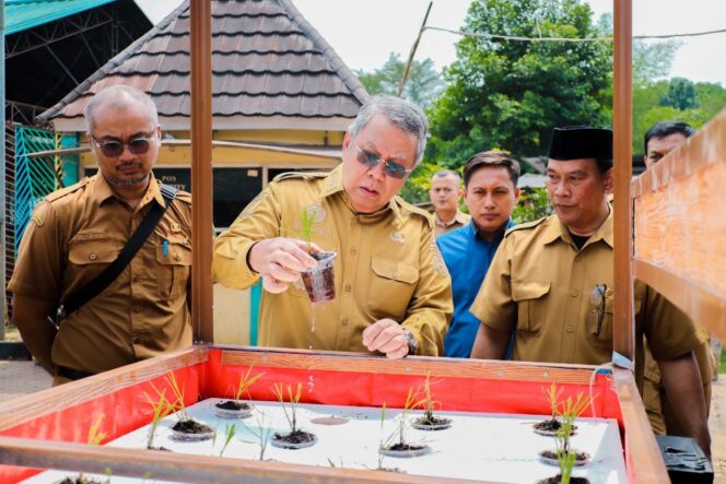
 Wali Kota Tangerang Selatan Benyamin Davnie saat menguji coba penanaman padi apung di Tandon Ciater, Kecamatan Serpong. Foto: Ist