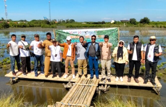 
 PT Indah Kiat Pulp & Paper Tbk (IKPP) Tangerang bersama Pemkab Tangerang melakukan penanaman mangrove jenis langka Bruguiera Cylindrica sebanyak 10.000 batang di Ketapang-Urban Aquaculture, Mauk, Kabupaten Tangerang. Foto: TangerangPos 