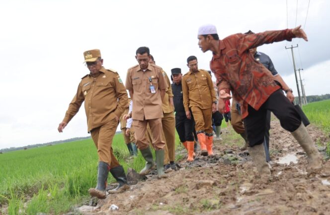 
 Gubernur Banten Andra Soni saat meninjau calon lokasi yang akan dijadikan percontohan pelaksanaan program Jalan Usaha Tani (JUT) di Kecamatan Wanasalam, Kabupaten Lebak. Foto: ist