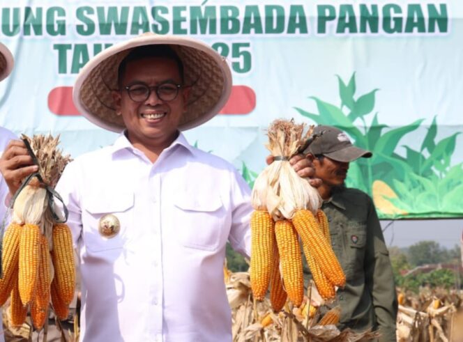 
 Gubernur Banten Andra Soni Saat Panen Raya Jagung Serentak Kuartal II secara virtual bersama Presiden Republik Prabowo Subianto di Desa Camplang, Kecamatan Jawilan, Kabupaten Serang. Foto: ist