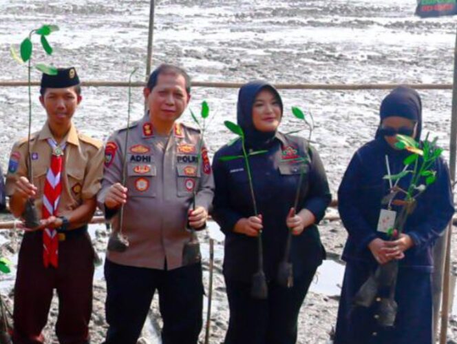 
 Ketua DPD Pemuda Tani Indonesia Provinsi Banten, Annisa M.A. Mahesa saat giat penanaman 5.000 bibit mangrove jenis bakau di kawasan Pantai Karangantu, Kecamatan Kasemen, Kota Serang. Foto: ist