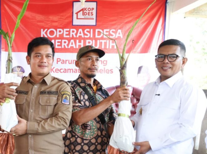 
 Gubernur Banten Andra Soni saat mengunjungi Koperasi Desa Merah Putih Parung Kujang, Kecamatan Cileles, Kabupaten Lebak. Foto: ist 