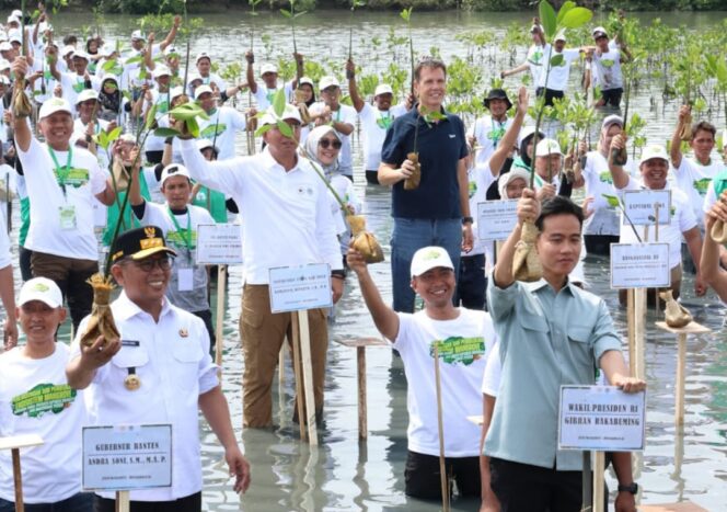 
 Gubernur Banten Andra Soni saat mendampingi Wakil Presiden Gibran Rakabuming Raka menanam Mangrove di Desa Ketapang Kecamatan Mauk Kabupaten Tangerang. Foto: ist