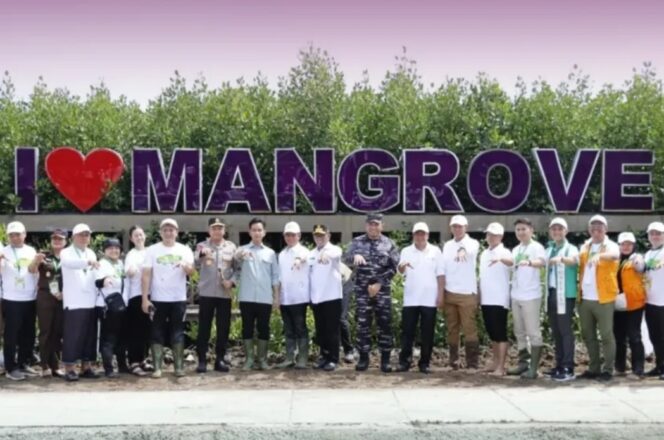 
 Bupati Tangerang Moch. Maesyal Rasyid bersama Wakil Presiden Republik Indonesia Gibran Rakabuming Raka, Menteri Lingkungan Hidup (LH) Hanif Faisol Nurofiq dan Wakil Menteri LH Diaz Hendropriyono, Gubernur Banten, Kapolda Banten melakukan tanam mangrove di Taman Mangrove di Ketapang Urban Aquacukture (KUA), Kec. Mauk. Foto: ist