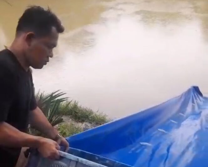 
 Relawan Banksasuci Cihuni Rudi Saputra Saat Tebar Ikan. Foto: TangerangPos 