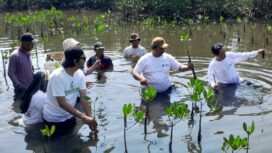 Aktivis Lingkungan Hidup Tangerang saat aksi penanaman 5.000 bibit mangrove rhizhopora sp atau bakau di Tangerang Mangrove Centre, Tanjung Pasir Kecamatan Teluknaga Kabupaten Tangerang. Foto: TangerangPos 