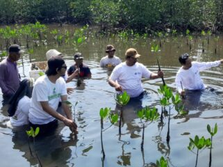 Aktivis Lingkungan Hidup Tangerang saat aksi penanaman 5.000 bibit mangrove rhizhopora sp atau bakau di Tangerang Mangrove Centre, Tanjung Pasir Kecamatan Teluknaga Kabupaten Tangerang. Foto: TangerangPos 