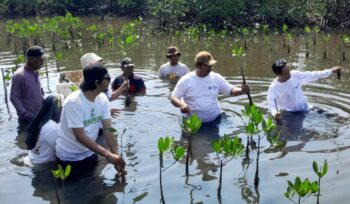 Aktivis Lingkungan Hidup Tangerang saat aksi penanaman 5.000 bibit mangrove rhizhopora sp atau bakau di Tangerang Mangrove Centre, Tanjung Pasir Kecamatan Teluknaga Kabupaten Tangerang. Foto: TangerangPos 
