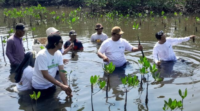 Aktivis Lingkungan Hidup Tangerang saat aksi penanaman 5.000 bibit mangrove rhizhopora sp atau bakau di Tangerang Mangrove Centre, Tanjung Pasir Kecamatan Teluknaga Kabupaten Tangerang. Foto: TangerangPos 