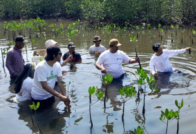 
 Aktivis Lingkungan Hidup Tangerang saat aksi penanaman 5.000 bibit mangrove rhizhopora sp atau bakau di Tangerang Mangrove Centre, Tanjung Pasir Kecamatan Teluknaga Kabupaten Tangerang. Foto: TangerangPos 