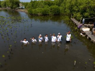 Koalisi Aktivis Lingkungan Hidup Tangerang (Kalung) dan Banksasuci Foundation gencarkan penanaman mangrove di pesisir Tangerang sebagai upaya mitigasi mengurangi resiko bencana Megatrusht.Foto: ist