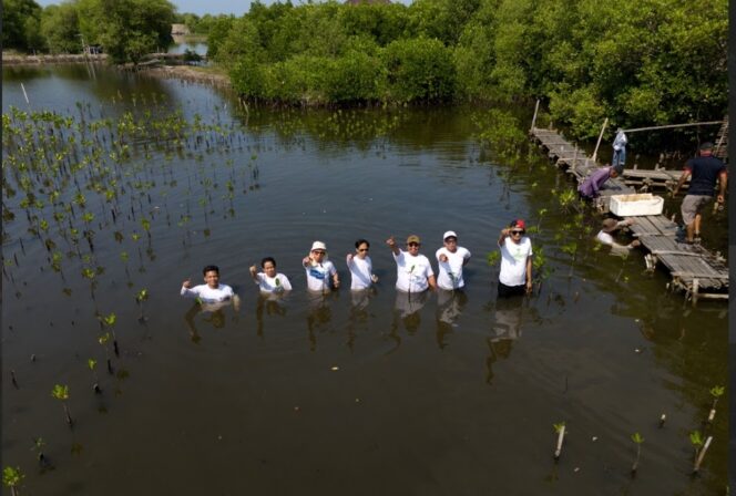 
 Koalisi Aktivis Lingkungan Hidup Tangerang (Kalung) dan Banksasuci Foundation gencarkan penanaman mangrove di pesisir Tangerang sebagai upaya mitigasi mengurangi resiko bencana Megatrusht.Foto: ist