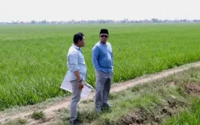 
 Menteri Agraria dan Tata Ruang/Kepala Badan Pertanahan Nasional (ATR/BPN), Nusron Wahid, saat meninjau lokasi permohonan penggunaan lahan sawah yang direncanakan untuk kawasan industri di Kabupaten Indramayu. Foto: ist