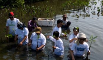 Koalisi Aktivis Lingkungan Hidup Tangerang (Kalung) Saat Tanam Mangrove di Kawasan Hutan Lindung Pesisir Tangerang. Foto: TangerangPos 