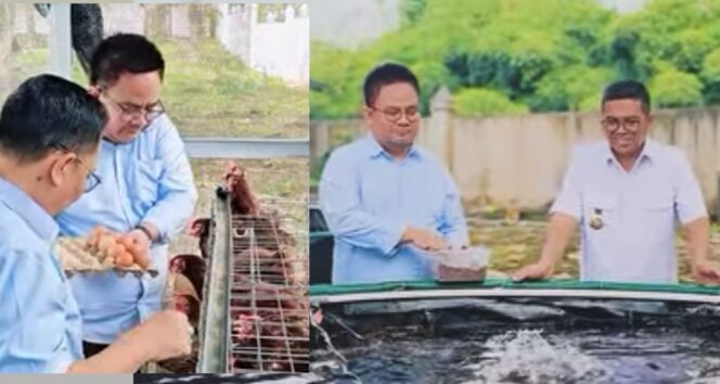 
 Wakil Ketua DPRD Provinsi Banten, Yudi Budi Wibowo dan Ketua Fraksi Gerindra DPRD Banten Taufiq Hidayat saat melihat langsung rumah ternak percontohan milik Gubernur Banten Andra Soni. Foto: Ist