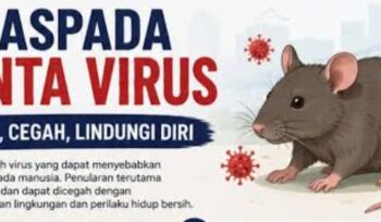 Waspada Hantavirus. Foto: ist